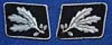 PAIR OF SS GENERALS COLLAR PATCHES.